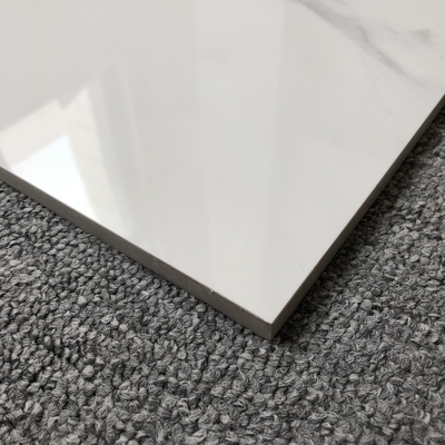 水吸収性0.5% 60x60cm ゴールデンカラカッタ ポルセラン グラスホワイト 壁タイル