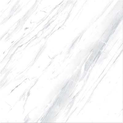 ブラックベイン グラニート 床タイル 60x60cm 白玉 床タイル 60x60 ポルセラン