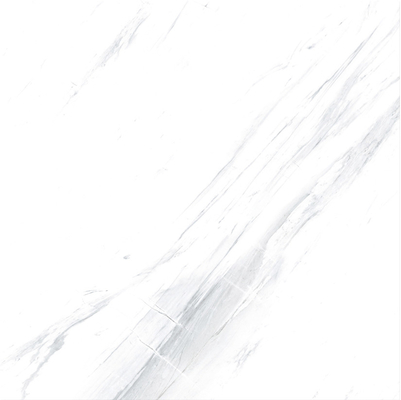 ブラックベイン グラニート 床タイル 60x60cm 白玉 床タイル 60x60 ポルセラン