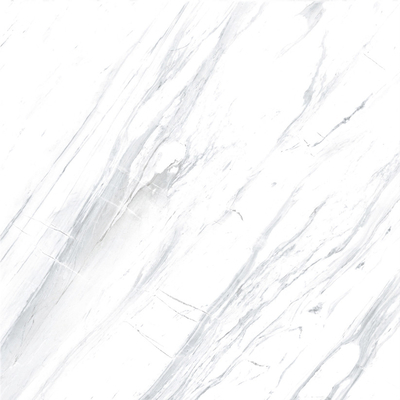 ブラックベイン グラニート 床タイル 60x60cm 白玉 床タイル 60x60 ポルセラン