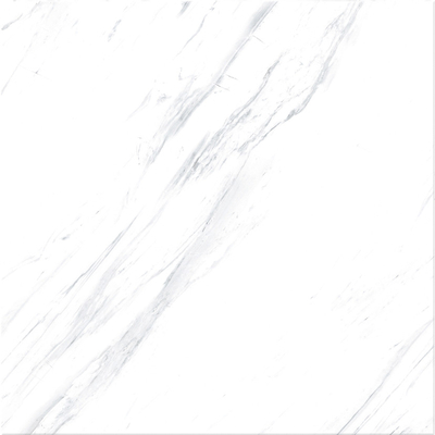 ブラックベイン グラニート 床タイル 60x60cm 白玉 床タイル 60x60 ポルセラン