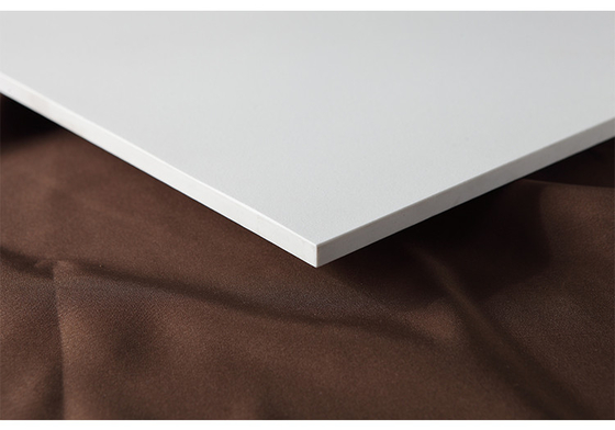グレードAAA ホワイト ホモジェネス セラミック 床タイル 600x600 10mm 厚さ 粗い表面