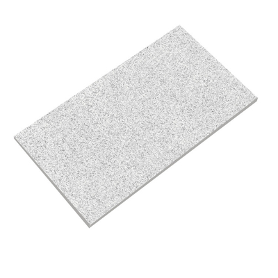 2cm 厚さ アウトドア コンクリート グラニート 床タイル 現代のデザイン スタイルのプール パティス